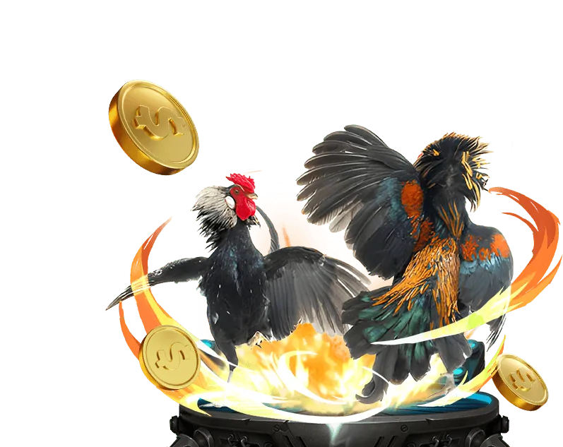 Hoàn trả hàng ngày 88slot